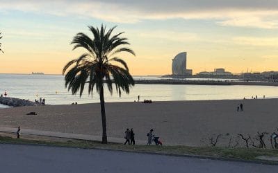 Cancelación deudas a organismos públicos mediante La Ley De La Segunda Oportunidad