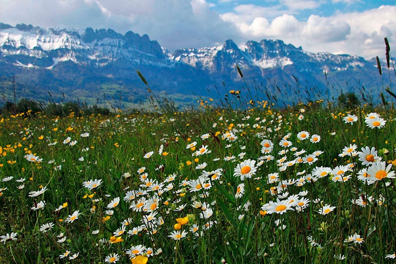 Primer paso a dar en la ley de la segunda oportunidad