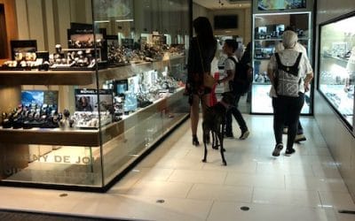 Exoneran a una empresaria de las deudas