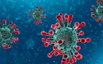 Afectacion Del Covid-19 En La Paralizacion De La Actividad Economica